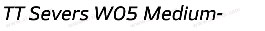 TT Severs W05 Medium字体转换